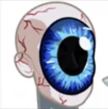 [Eye makeup] EYE STALKER